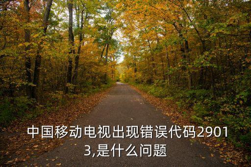  中國移動電視出現(xiàn)錯(cuò)誤代碼29013,是什么問題