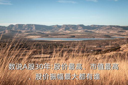 數(shù)說A股30年:股價最高、市值最高、股價振幅最大都有誰
