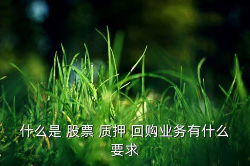 什么是 股票 質押 回購業(yè)務有什么要求