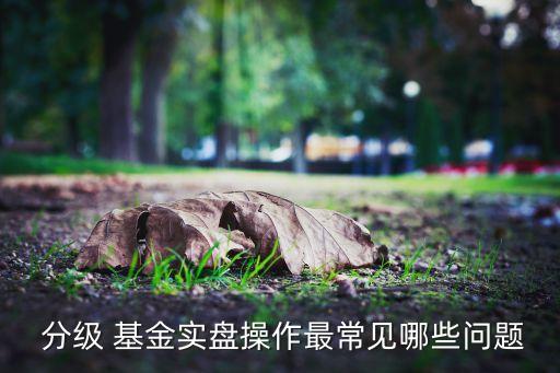  分級(jí) 基金實(shí)盤操作最常見哪些問(wèn)題