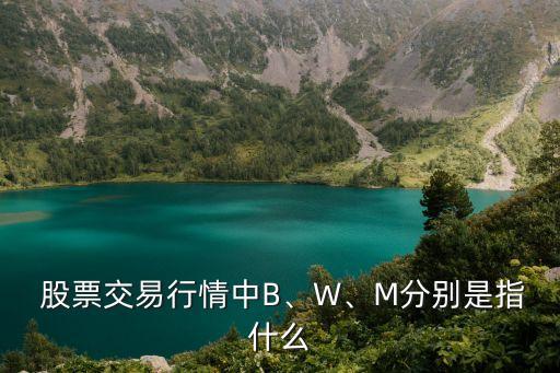  股票交易行情中B、W、M分別是指什么
