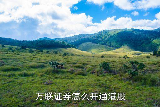  萬(wàn)聯(lián)證券怎么開通港股