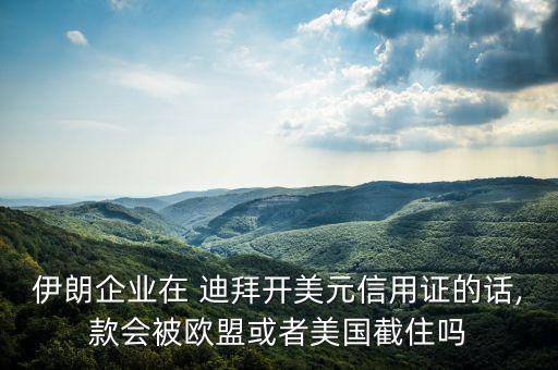 伊朗企業(yè)在 迪拜開美元信用證的話,款會(huì)被歐盟或者美國(guó)截住嗎