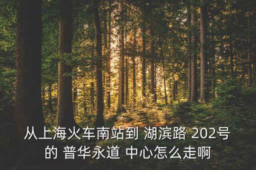 從上?；疖嚹险镜?湖濱路 202號(hào)的 普華永道 中心怎么走啊