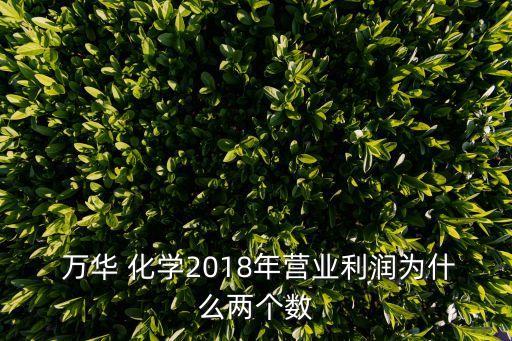  萬華 化學(xué)2018年?duì)I業(yè)利潤為什么兩個數(shù)