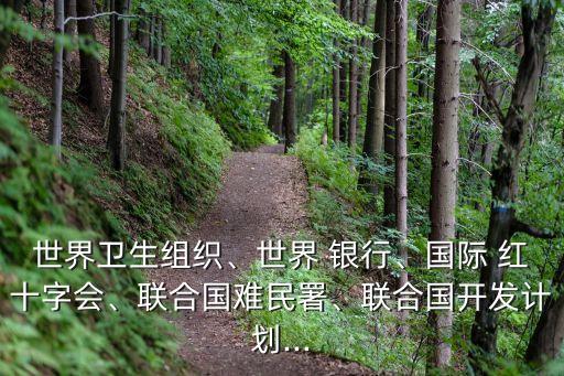 世界衛(wèi)生組織、世界 銀行、國際 紅十字會、聯(lián)合國難民署、聯(lián)合國開發(fā)計劃...