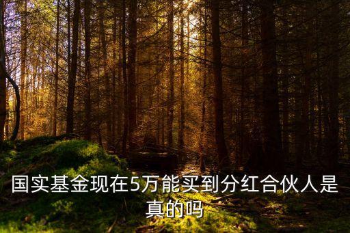 國(guó)實(shí)基金現(xiàn)在5萬(wàn)能買到分紅合伙人是真的嗎
