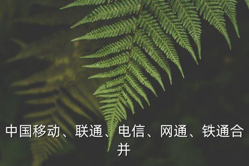 中國(guó)移動(dòng)、聯(lián)通、電信、網(wǎng)通、鐵通合并
