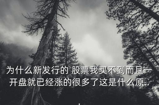 為什么新發(fā)行的 股票我買不到而且一開(kāi)盤(pán)就已經(jīng)漲的很多了這是什么原...