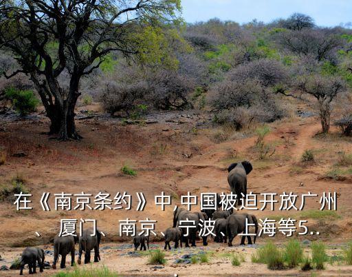 在《南京條約》中,中國被迫開放廣州、 廈門、南京、寧波、上海等5...