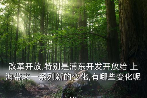 上?，F(xiàn)代服務(wù)業(yè)發(fā)展