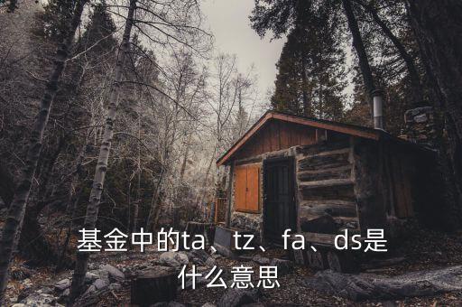  基金中的ta、tz、fa、ds是什么意思