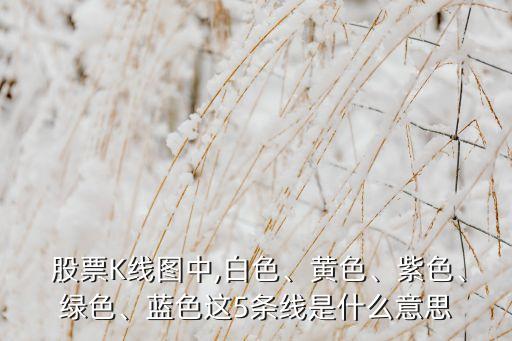  股票K線圖中,白色、黃色、紫色、綠色、藍(lán)色這5條線是什么意思