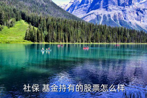 2014社保基金重倉股,社?；鹬貍}股有哪些