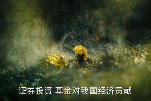證券投資 基金對我國經(jīng)濟貢獻(xiàn)