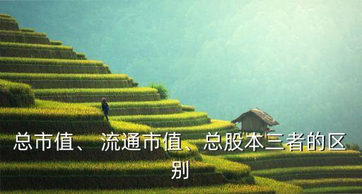 總市值、 流通市值、總股本三者的區(qū)別