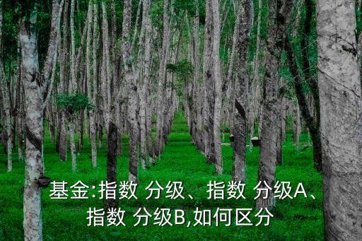  基金:指數(shù) 分級、指數(shù) 分級A、指數(shù) 分級B,如何區(qū)分