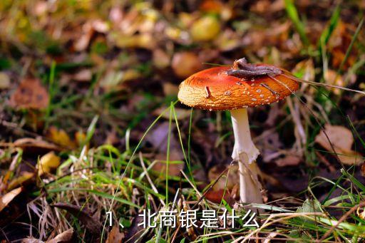 1、北商銀是什么