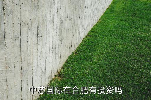 華進半導體封裝先導技術(shù)研發(fā)中心有限公司