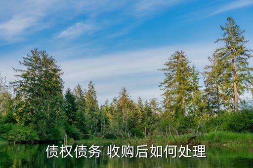 債權債務 收購后如何處理