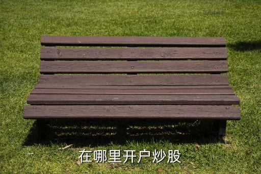 在哪里開(kāi)戶(hù)炒股