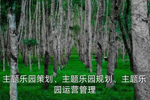 主題樂園策劃、主題樂園規(guī)劃、主題樂園運(yùn)營管理