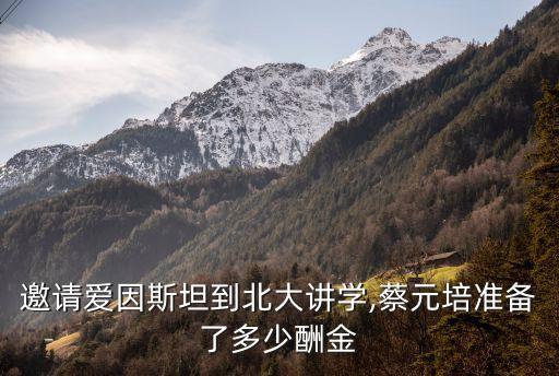 邀請愛因斯坦到北大講學(xué),蔡元培準備了多少酬金