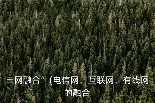 三網融合”(電信網、互聯(lián)網、有線網的融合