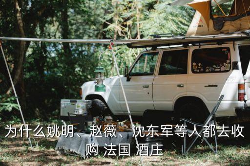 為什么姚明、趙薇、沈東軍等人都去收購 法國 酒莊
