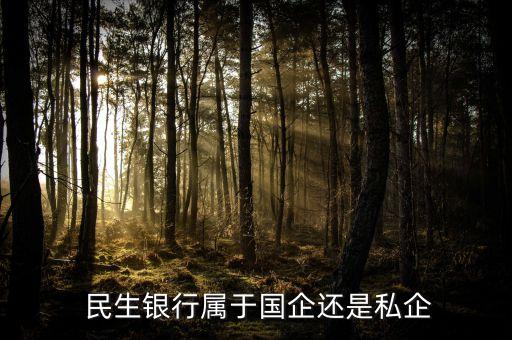  民生銀行屬于國(guó)企還是私企