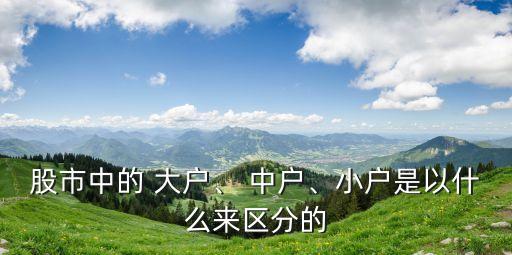 股市中的 大戶、 中戶、小戶是以什么來區(qū)分的