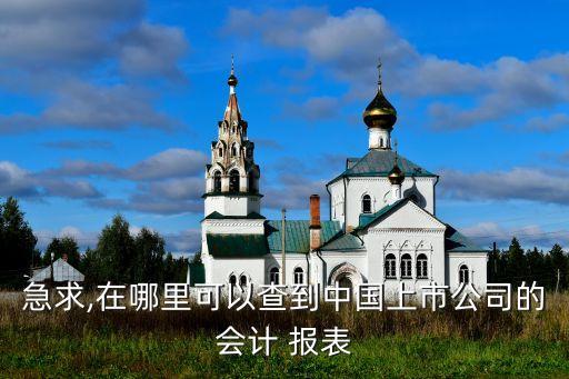 急求,在哪里可以查到中國上市公司的會計(jì) 報(bào)表