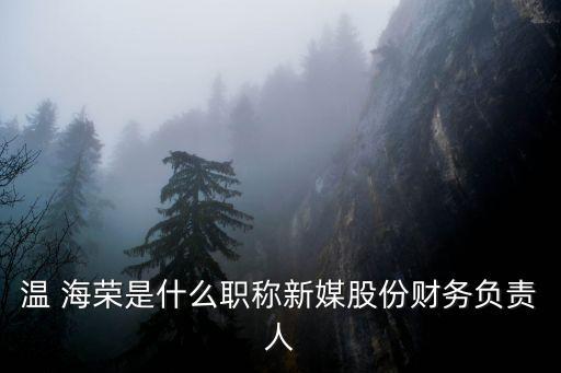 溫 海榮是什么職稱新媒股份財務(wù)負責人