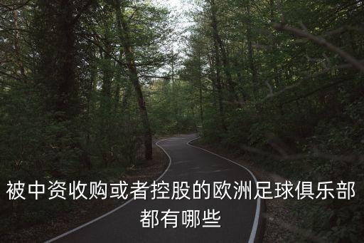 被中資收購(gòu)或者控股的歐洲足球俱樂部都有哪些