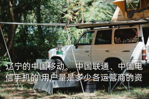 遼寧的中國移動、 中國聯(lián)通、中國電信手機的 用戶量是多少各運營商的資...