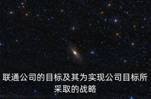 聯(lián)通公司的目標及其為實現公司目標所采取的戰(zhàn)略
