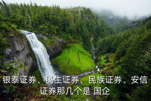 銀泰證券、民生證券、民族證券、安信證券那幾個(gè)是 國企
