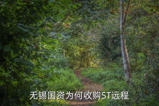 無錫國(guó)資為何收購(gòu)ST遠(yuǎn)程
