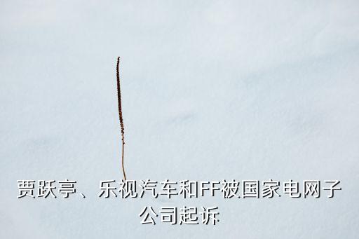 賈躍亭、樂視汽車和FF被國家電網(wǎng)子公司起訴