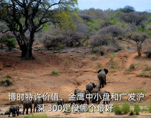  博時特許價(jià)值、金鷹中小盤和廣發(fā)滬深 300定投哪個最好