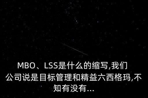 MBO、LSS是什么的縮寫,我們 公司說是目標管理和精益六西格瑪,不知有沒有...