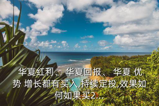  華夏紅利、 華夏回報(bào)、 華夏 優(yōu)勢(shì) 增長(zhǎng)都有買(mǎi)入,持續(xù)定投,效果如何如果買(mǎi)2...