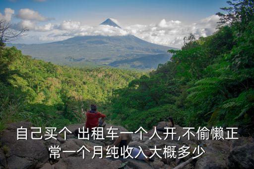 自己買(mǎi)個(gè) 出租車(chē)一個(gè)人開(kāi),不偷懶正常一個(gè)月純收入大概多少