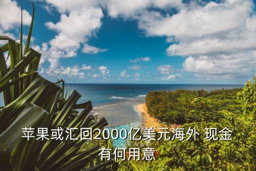 蘋(píng)果或匯回2000億美元海外 現(xiàn)金有何用意